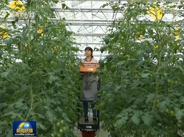 农民国务院扶贫办：贫困劳动力务工就业等重点工作加快推进