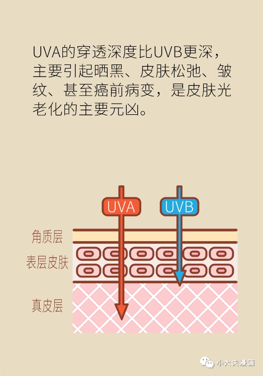 女性夏天必备的防晒知识,这篇文章全讲透了