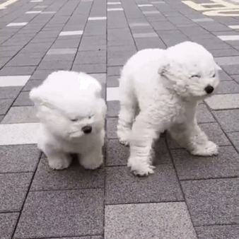 北京大风北京下周最高气温30℃+！明后天大风来袭，阵风可达七级