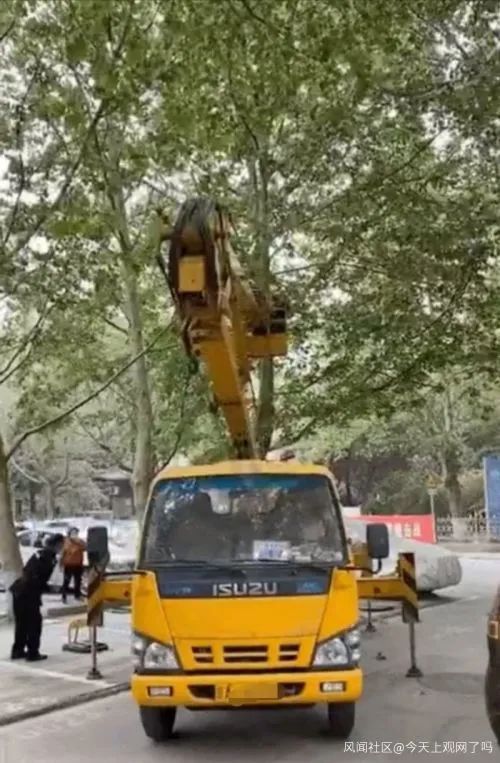 社会谁捅了鸟窝，又让它们住进“人工新家”？北京通报小区拆鸟窝事件→