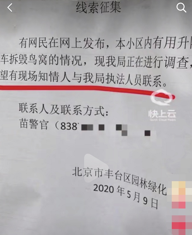 社会谁捅了鸟窝，又让它们住进“人工新家”？北京通报小区拆鸟窝事件→