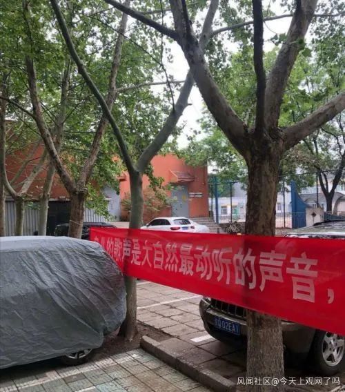社会谁捅了鸟窝，又让它们住进“人工新家”？北京通报小区拆鸟窝事件→