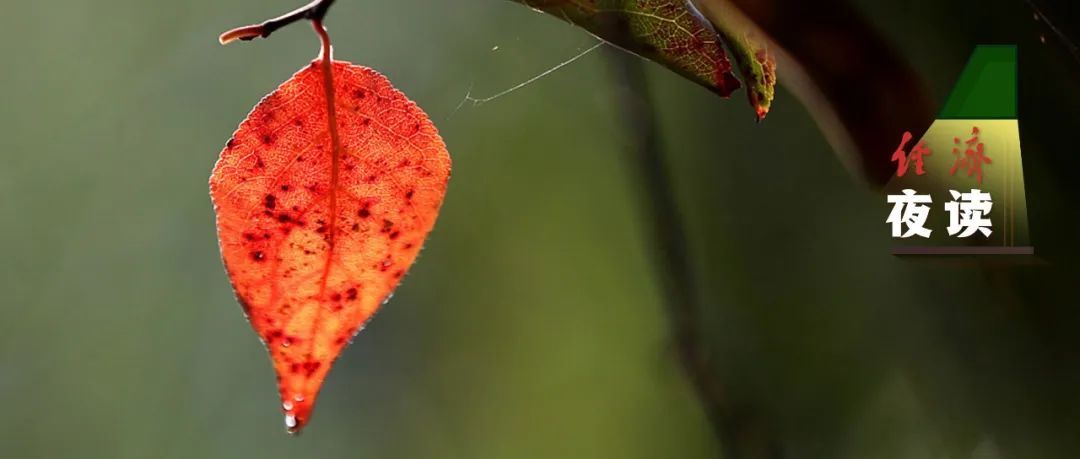 社会一桩“鸟事”，哭笑不得