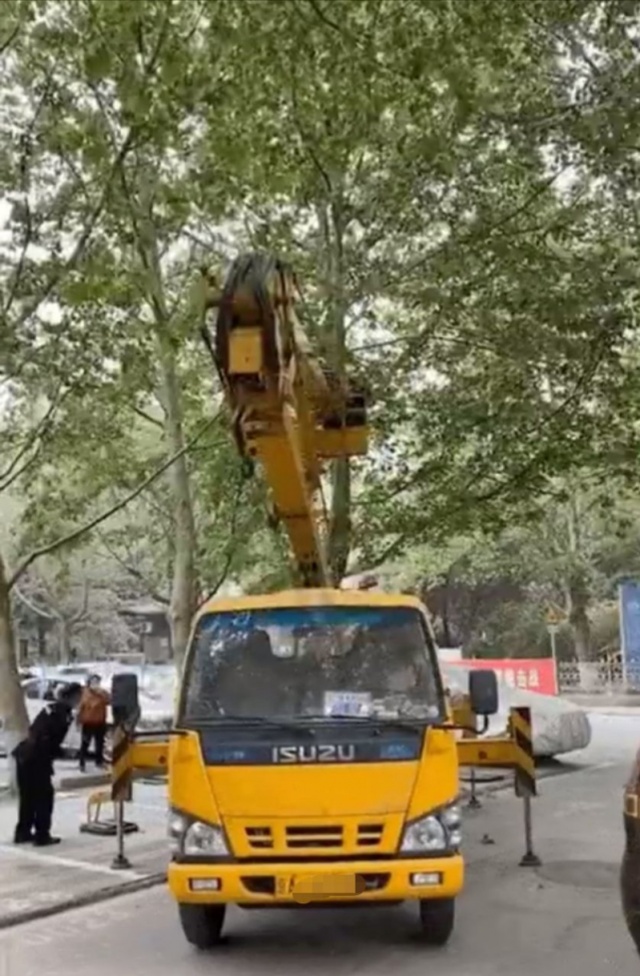 社会一桩“鸟事”，哭笑不得