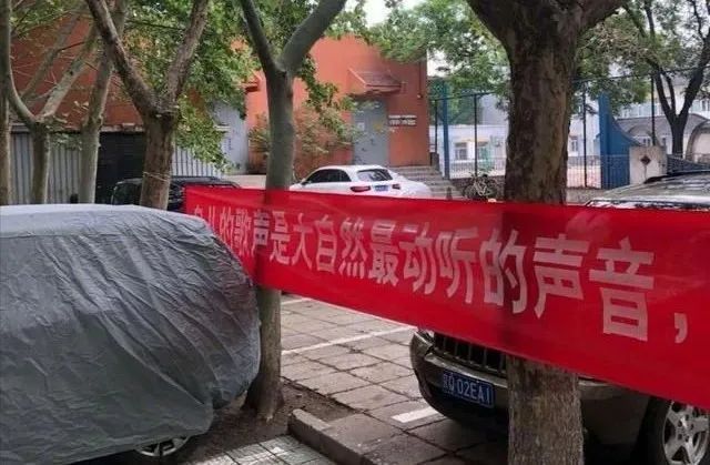 社会一桩“鸟事”，哭笑不得