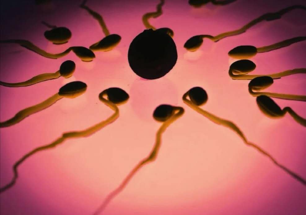 生活压力太大都会“传”给后代，看完都别“硬撑”了