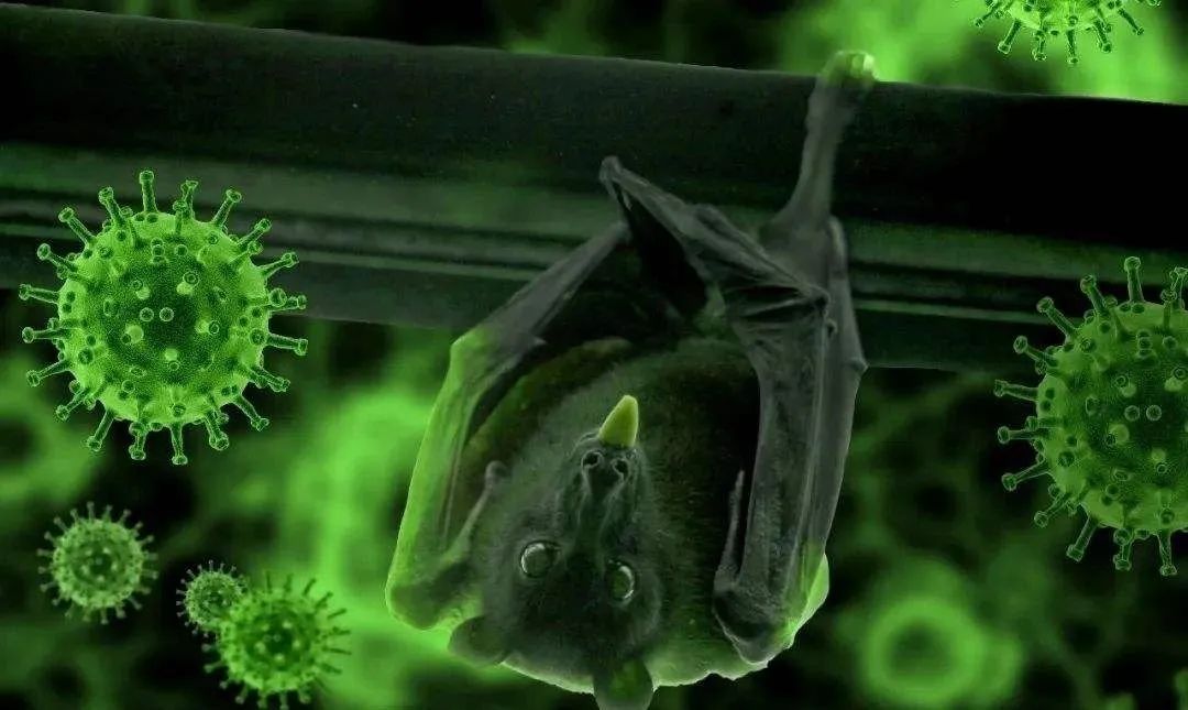 疫情用事实说话·戳破美国关于新冠疫情的涉华谎言