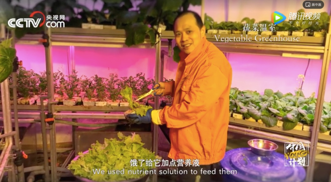 南极中国站在南极种菜，来“蹭网”的俄罗斯站这样礼尚往来…