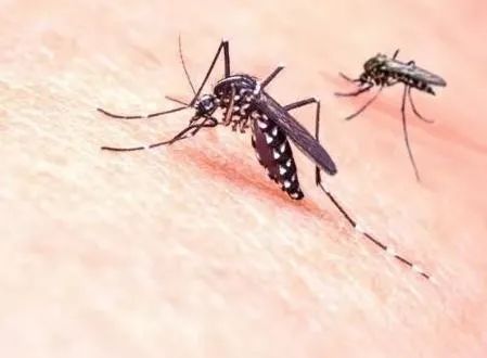 疫情不止新冠危机,这些国家正在暴发其他病毒疫情