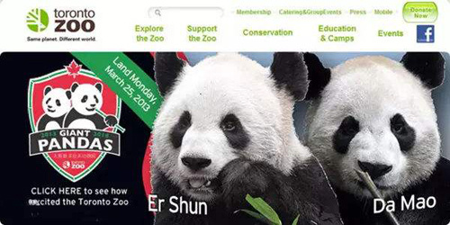 大熊猫卡尔加里动物园：没有新鲜竹子 正申请提前两年归还两只旅加大熊猫