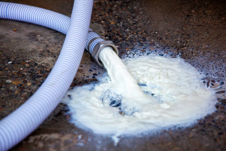 农民倒牛奶、送土豆......疫情之下美国农民难以承受之痛