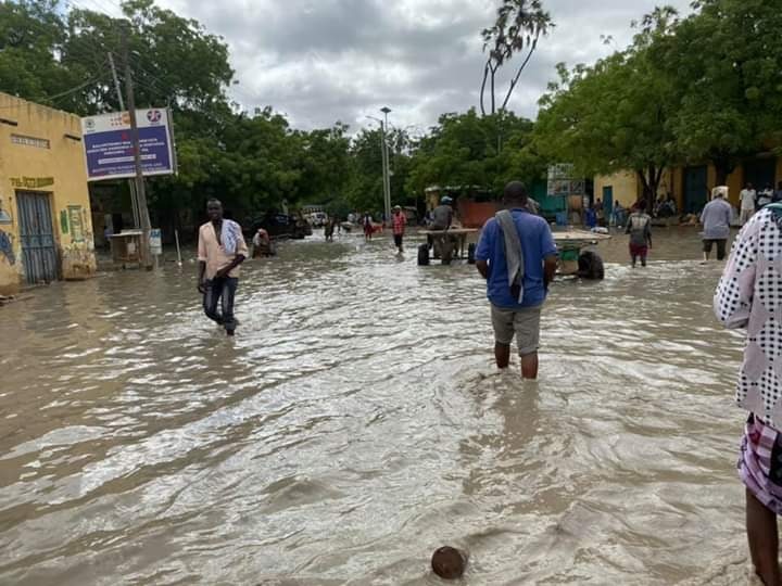 央视新闻索马里新增81例新冠肺炎确诊病例 累计确诊1170例