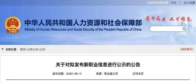 招聘计划今年高校毕业生创历史新高!硬核政策来袭