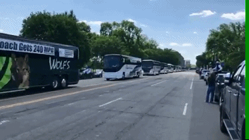 白宫全美约千辆巴士涌入华盛顿抗议，白宫前排长队绵延10余公里