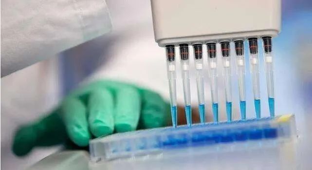 国际全球百个疫苗竞速 何时问世？