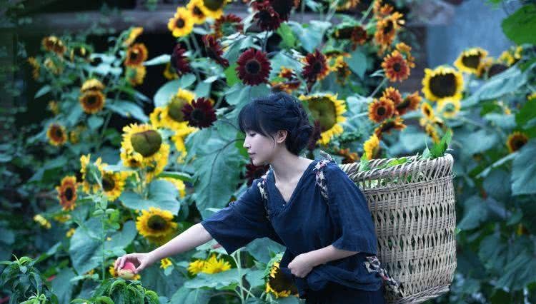 李子柒李子柒与袁隆平、冯巩居然共享了同一个身份！网友：次元壁碎了