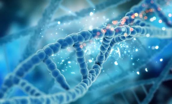 恐龙科学家发现疑似恐龙DNA！我们可以复制一个《侏罗纪》吗？