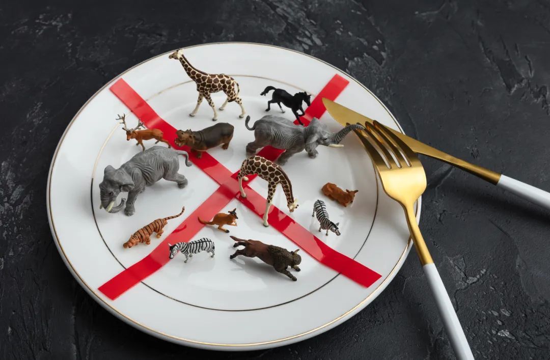 野生动物我们真能跟野味说再见吗