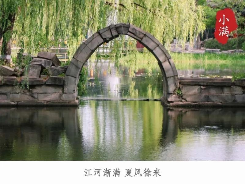 小满今日小满丨江河渐满 夏风徐来