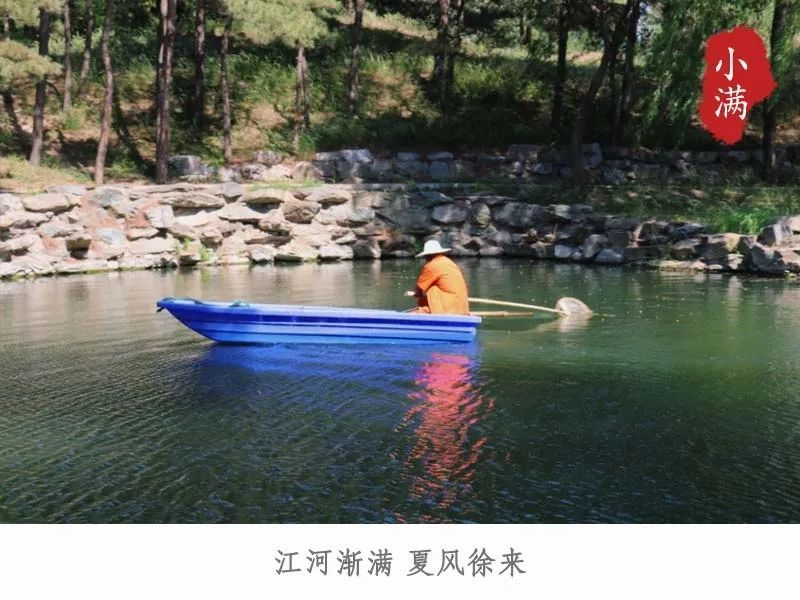 小满今日小满丨江河渐满 夏风徐来