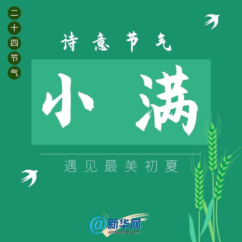 二十四节气诗意节气|小满，遇见最美初夏