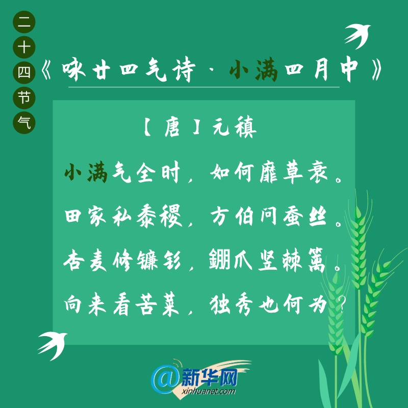 二十四节气诗意节气|小满，遇见最美初夏