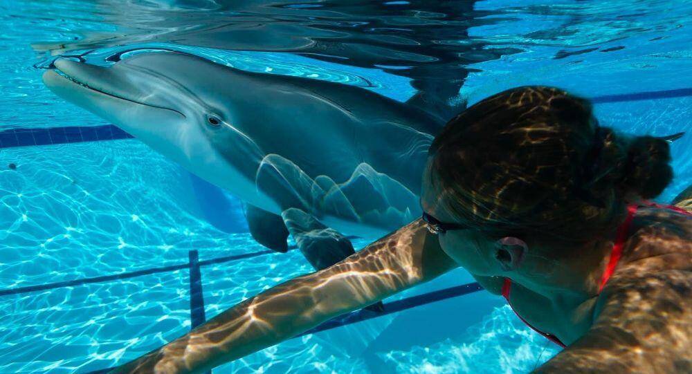 海豚俄媒：中国海洋馆要推出“海豚仿生机器人”，保护环境的又一步？