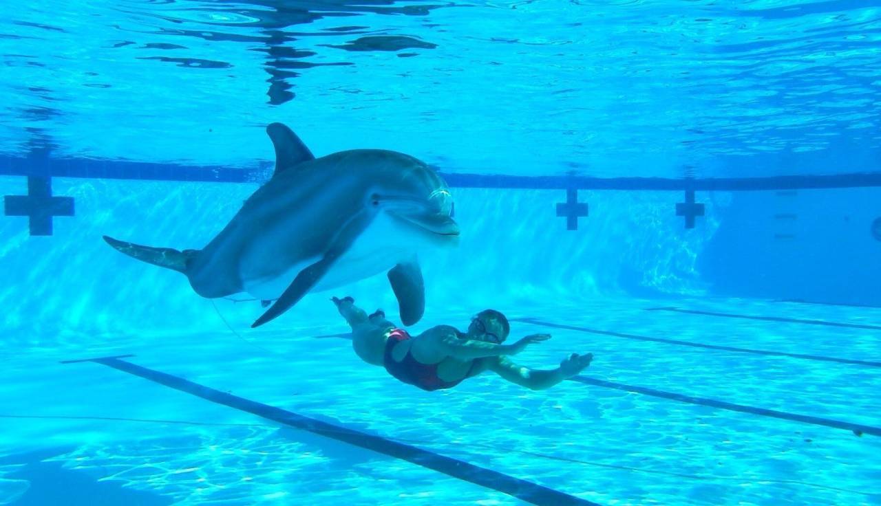 海豚俄媒：中国海洋馆要推出“海豚仿生机器人”，保护环境的又一步？