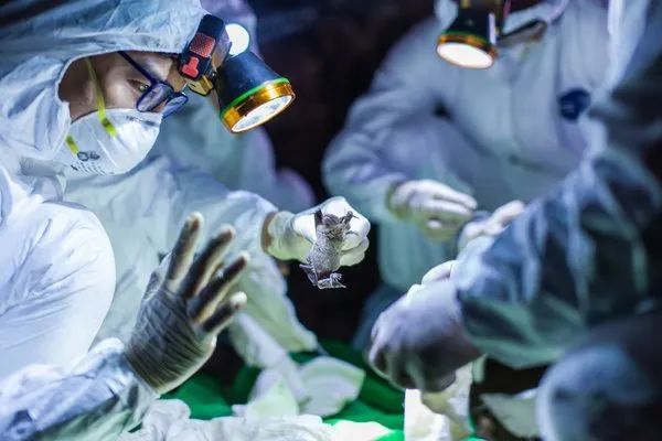 联邦这叫什么事？77名诺奖得主联名抗议！