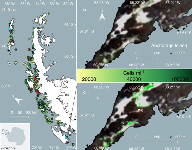 南极南极又又又上热搜了，这次是因为“绿色的雪”……