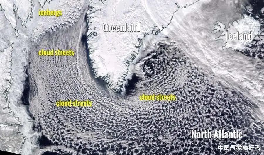 南极南极又又又上热搜了，这次是因为“绿色的雪”……