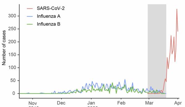 科学|《科学》刊发美国研究：纽约新冠病毒主要由欧洲和美洲引入