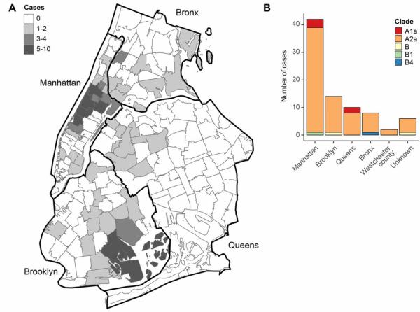 科学|《科学》刊发美国研究：纽约新冠病毒主要由欧洲和美洲引入