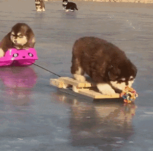 天气|童言童语话天气！被萌萌萌萌化了......