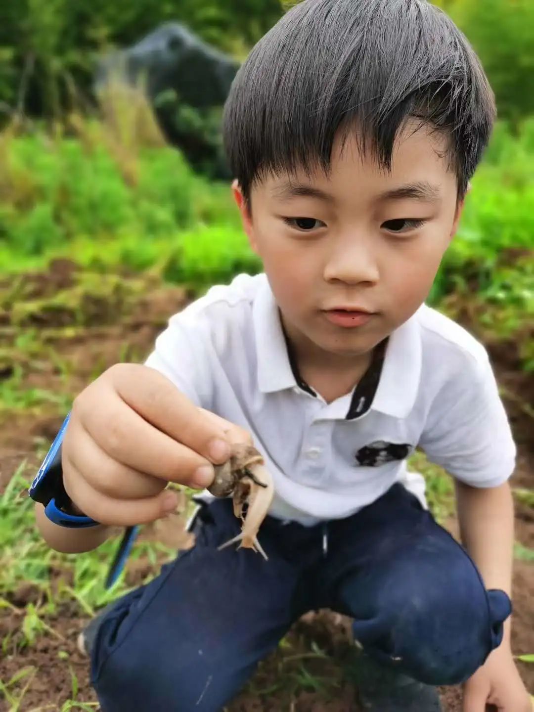 天气|童言童语话天气！被萌萌萌萌化了......