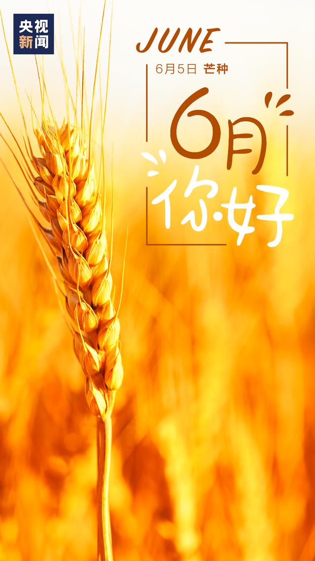 社会|6月，你好！