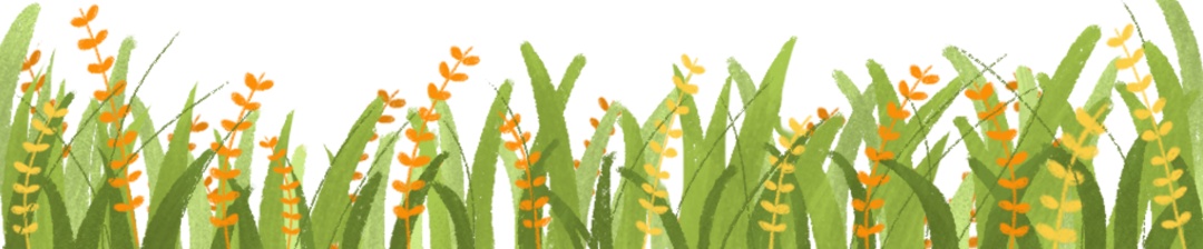 中国军网|芒种插画 | 种下理想，又是一年风吹麦浪