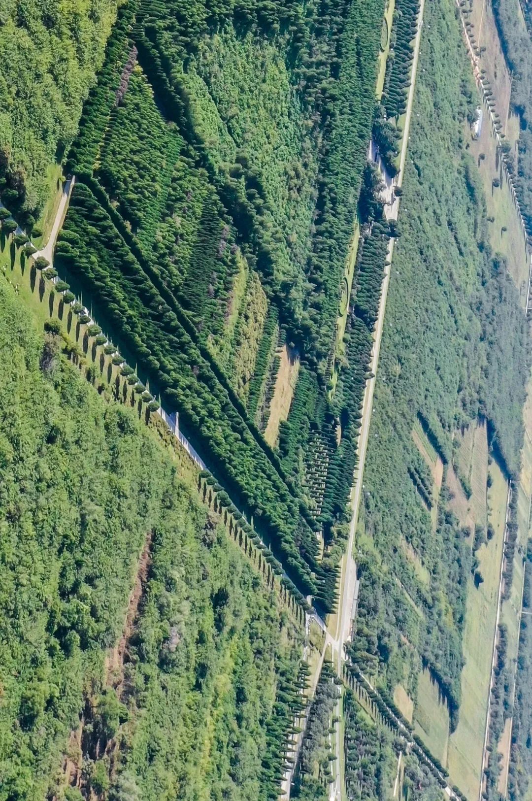 考古|中国古墓，有多震撼？北宋古墓发现“过仙桥”引爆热搜！