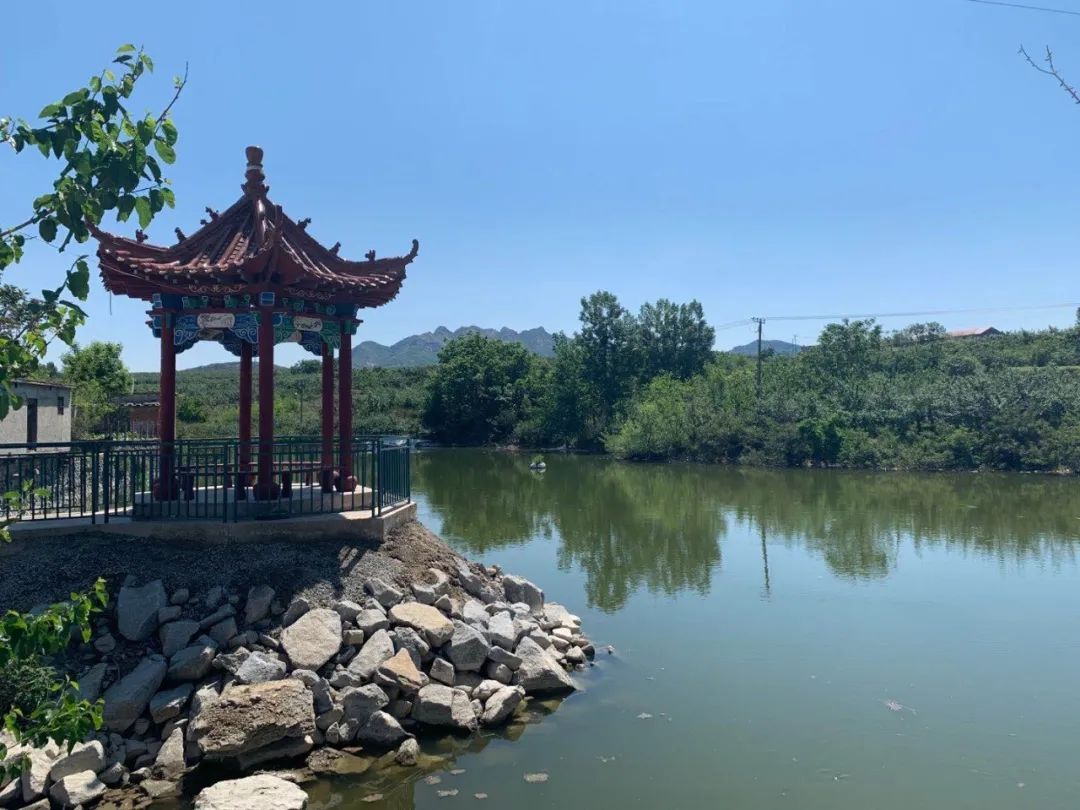 围观石良镇黄城集丰仪店水夼山西头石山赵家慕院夼村里拍到的