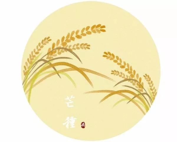 芒种|应急科普丨今日芒种 农忙时节用火安全不能忘