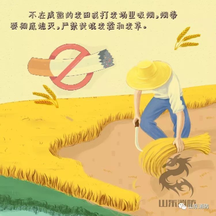 芒种|应急科普丨今日芒种 农忙时节用火安全不能忘