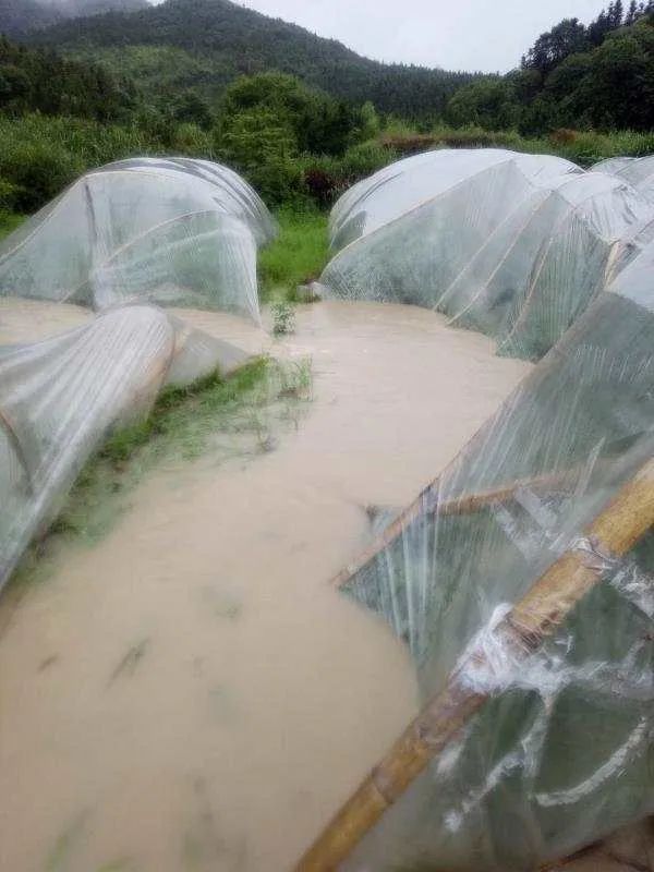 天气|南方暴雨不断致灾风险高！华北黄淮直冲40℃！