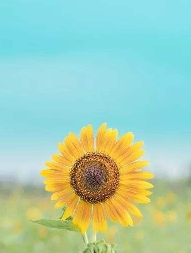 游戏|【夜读】愿你，阳光下像个孩子，风雨里像个大人