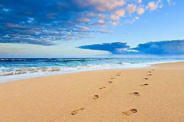 游戏|【夜读】愿你，阳光下像个孩子，风雨里像个大人