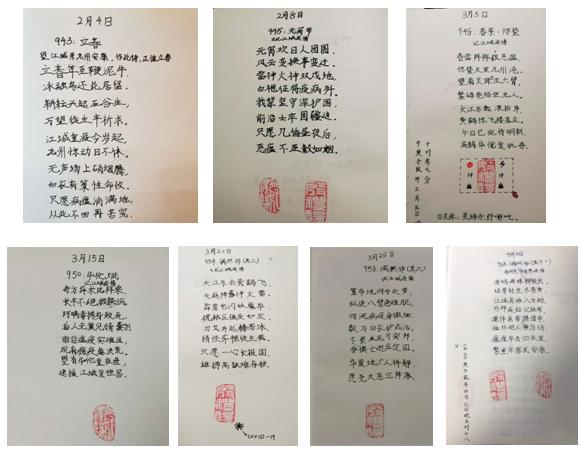 疫情|小家大爱 | 殷飞家庭：为特殊家教注入爱和力量