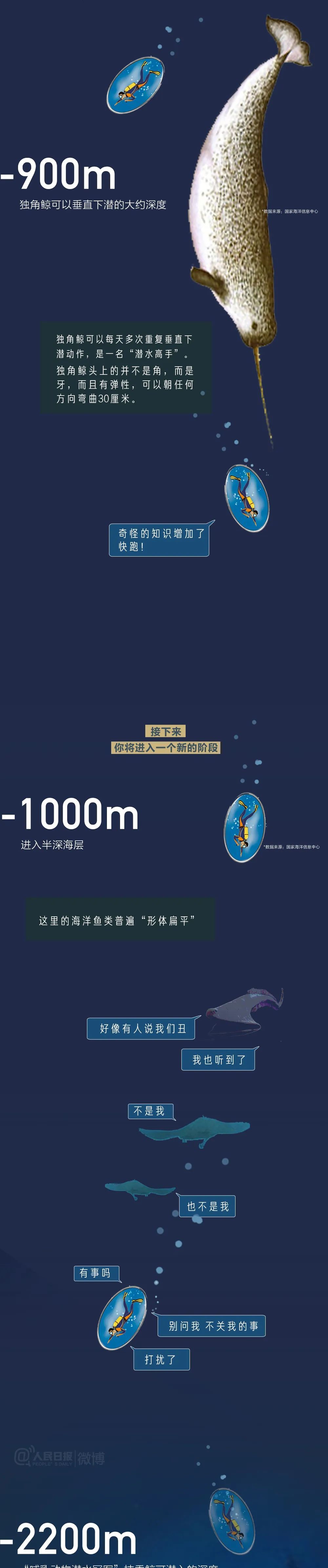 共青团|海底最深处能看见什么