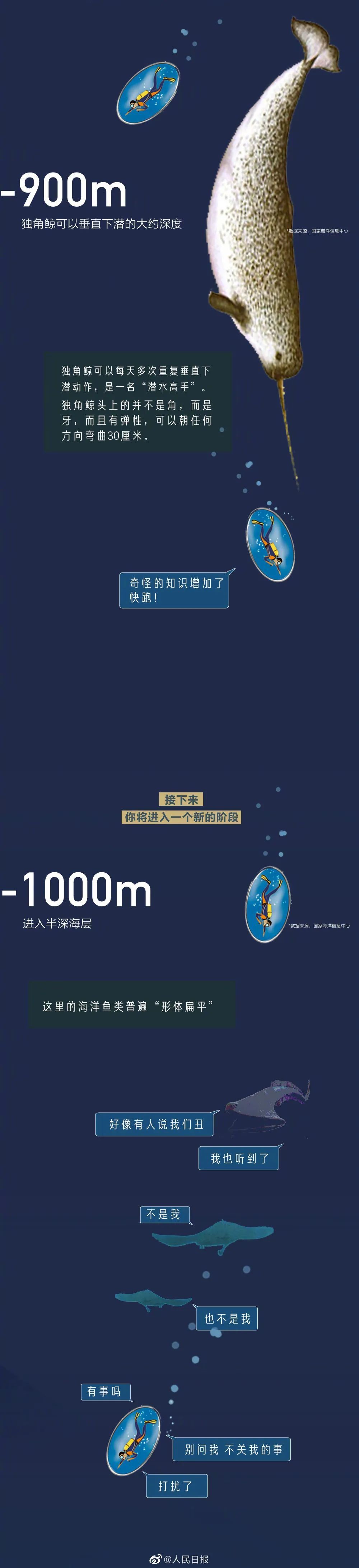 |海底最深处能看见什么？