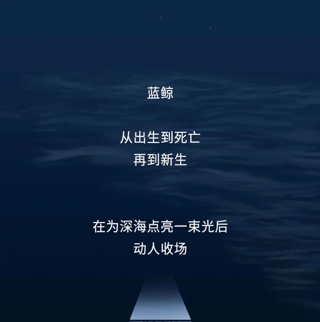 蓝鲸|蓝鲸的一生：鲸落是什么
