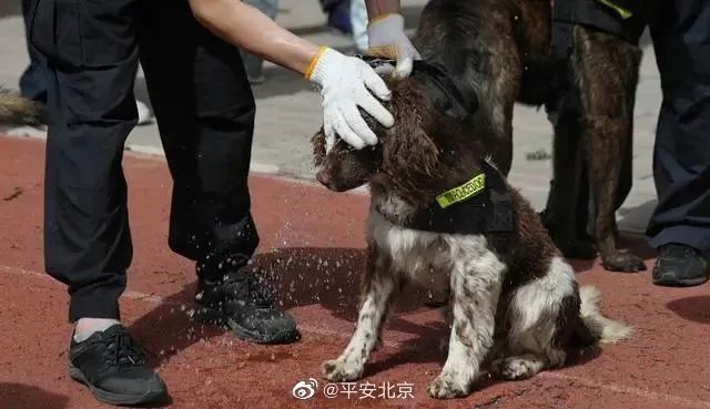 平安|“盐值”蓄力中……