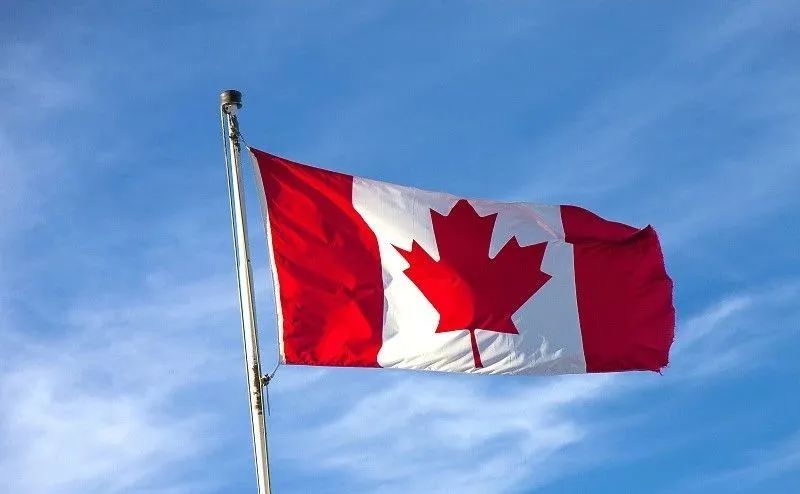 国际|温哥华华人社区感染率最低！“反华病毒感染者”遭数据“打脸”